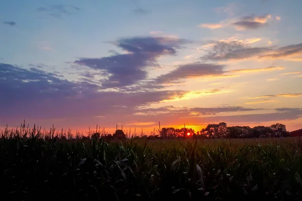 Natural Sunset Sunrise Field Meadow Céu Dramático Brilhante Terra Negra — Fotografia de Stock