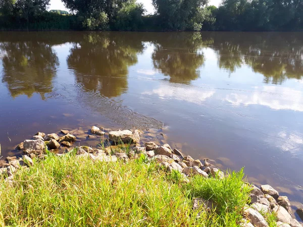 Дерево Білі Хмари Блакитному Небі Відображені Дзеркальній Воді Озера — стокове фото