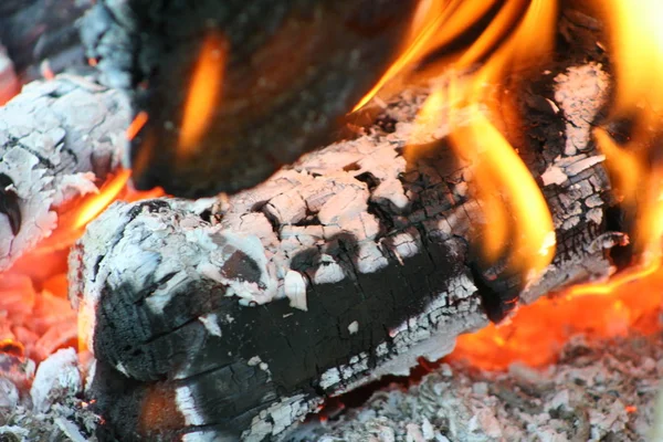 Burning Smoking Wood Logs — Stock Photo, Image