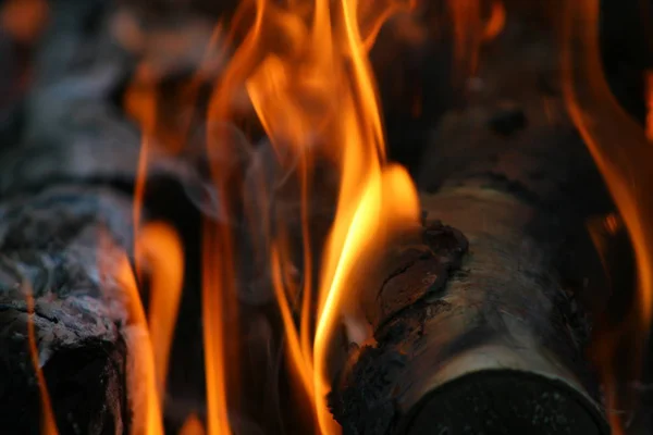 Branden Roken Houten Logboeken — Stockfoto