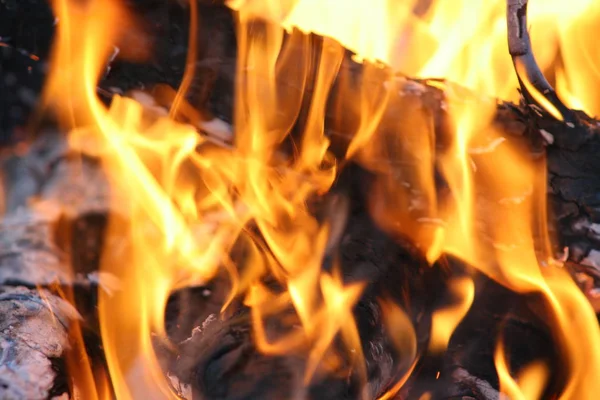 Close Vlammen Van Brand Het Kampvuur — Stockfoto