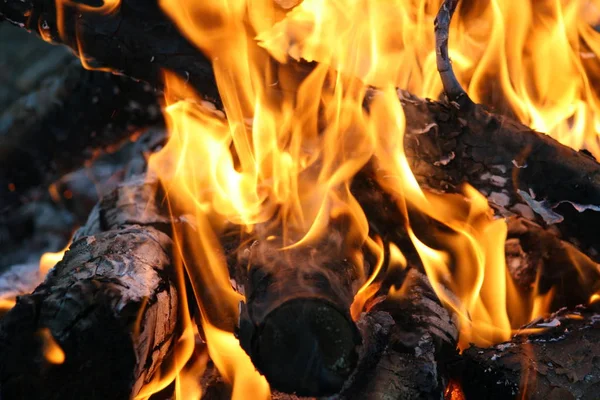キャンプファイヤーの火の炎をクローズ アップ — ストック写真
