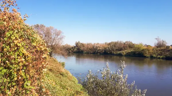 Ρέει Ποτάμι Στην Σεζόν Του Φθινοπώρου Καθρέφτης Του Νερού Αντανακλά — Φωτογραφία Αρχείου