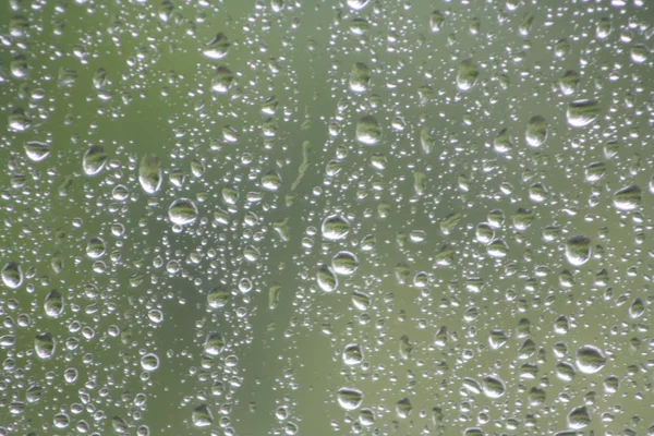 Gotas Água Vidro Fundo Plantas Verdes — Fotografia de Stock