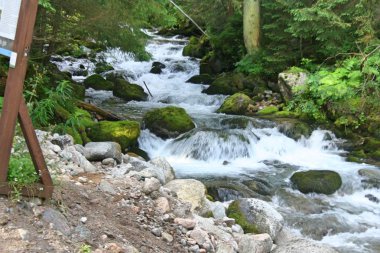 Büyük Dumanlı Dağlar Milli Parkı Kükreyen Çatal Motor Turu boyunca Rahatlatıcı Kükreyen Çatal Creek