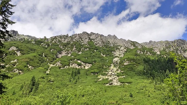 塔特拉山脉的山墙景色 夏天被草覆盖的山脉 — 图库照片