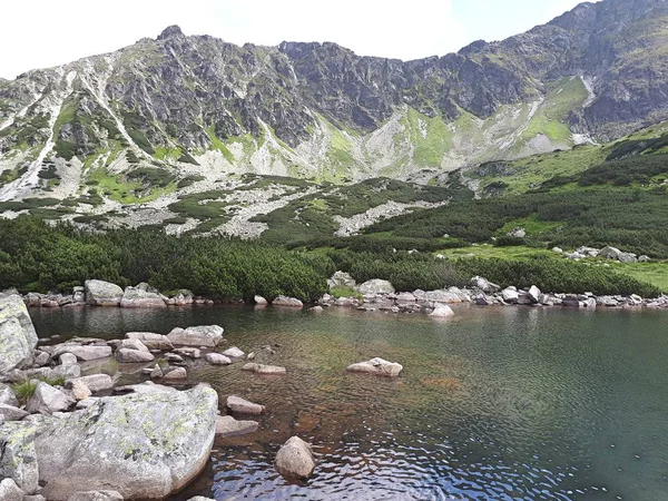 Valle Cinco Estanques Las Montañas Tatra Europa Polonia Hermoso Paisaje — Foto de Stock