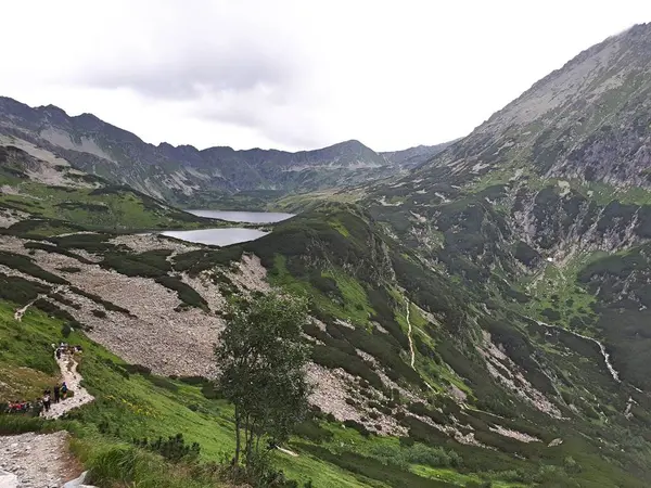 Valle Cinque Stagni Nei Monti Tatra Europa Polonia Bellissimo Paesaggio — Foto Stock