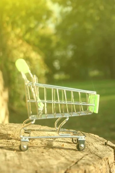 Carrinho Compras Mini Uma Mesa Que Brilha Sobre Sol Simbolizando — Fotografia de Stock