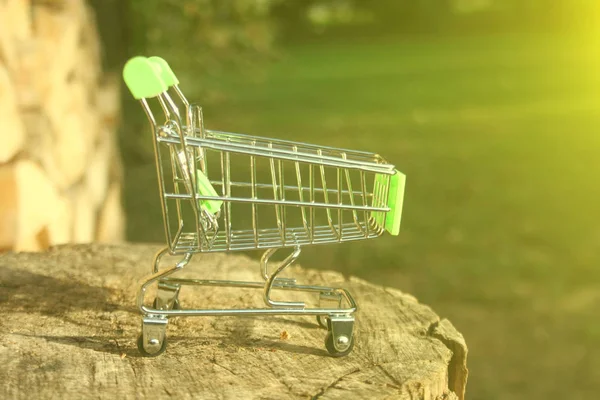 Mini Shopping Trolley Table Shines Sun Symbolizing Marketing Shopping Concept — Stock Photo, Image