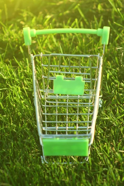 Mini Shopping Trolley Grass Which Covered Sun Rays Symbolizing Marketing — Stock Photo, Image