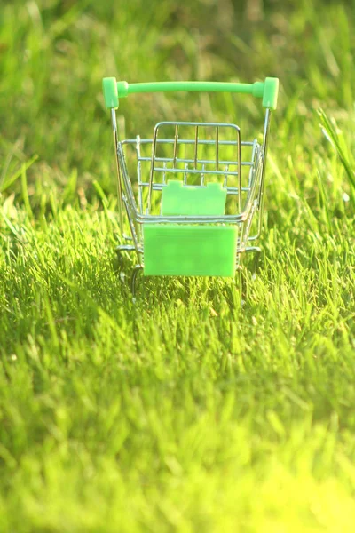 Mini Carrito Compras Hierba Que Está Cubierto Por Rayos Sol —  Fotos de Stock