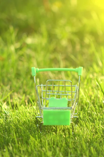 Mini Shopping Trolley Grass Which Covered Sun Rays Symbolizing Marketing — Stock Photo, Image