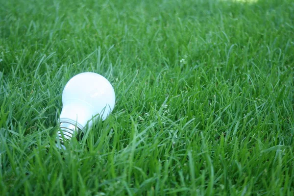 Led Ampul Aydınlatma Doğada Enerji Kavramı Kaydetmek Için — Stok fotoğraf