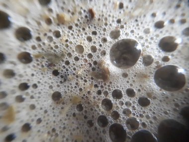 Bir fincan köpüklü kibrit yeşil latte çayı.