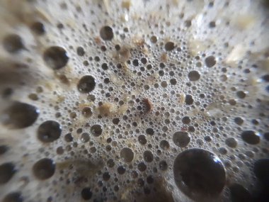 Bir fincan köpüklü kibrit yeşil latte çayı.