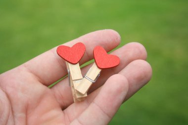 İki giysi askısı birbirine tutturulmuş. Kırmızı kalpler. Çimenli yeşil arka plan. Sevgililer Günü için aşk konsepti.