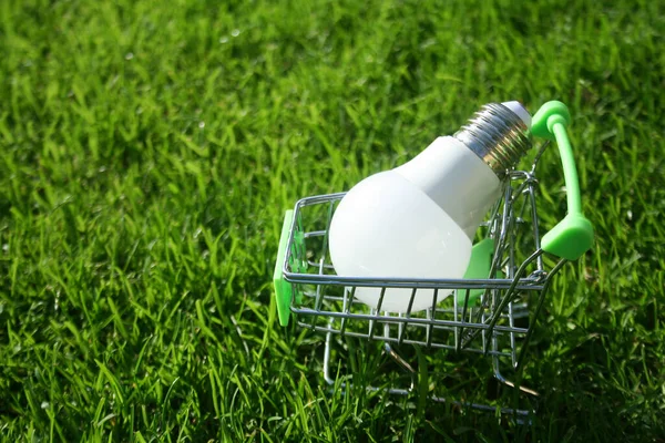 LED bulb in a mini shopping basket in the grass as a concept for saving electricity, new ideas and business.