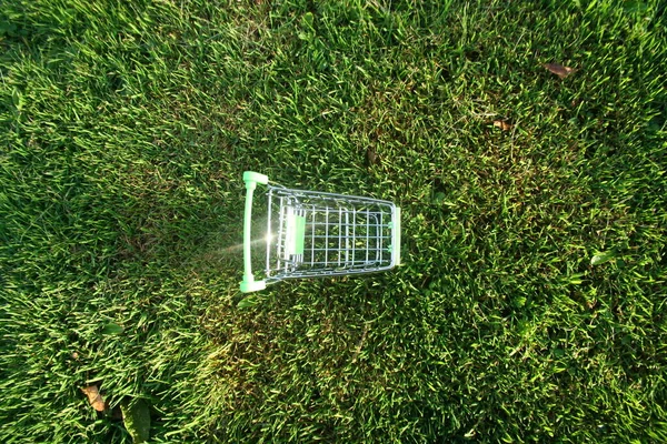 Mini Shopping Trolley Grass Which Covered Sun Rays Symbolizing Marketing — Stock Photo, Image