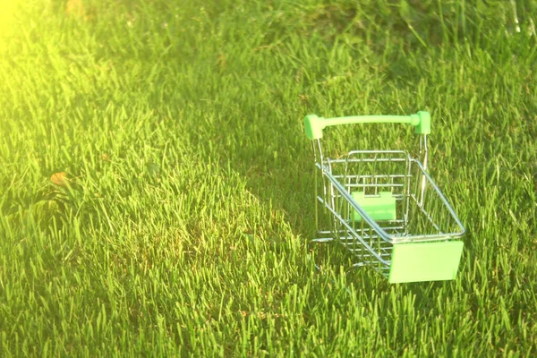 Mini Carrinho Compras Grama Que Coberto Por Raios Sol Simbolizando — Fotografia de Stock