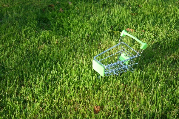 Mini Shopping Trolley Grass Which Covered Sun Rays Symbolizing Marketing — Stock Photo, Image