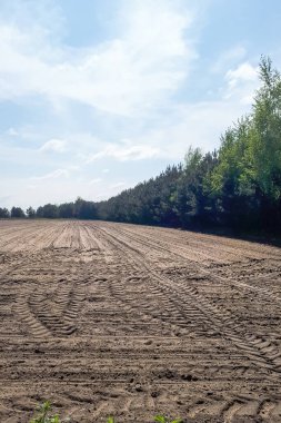 Kum sahası. Tarımsal bir alan ve bir sürü çekici lastik izi.