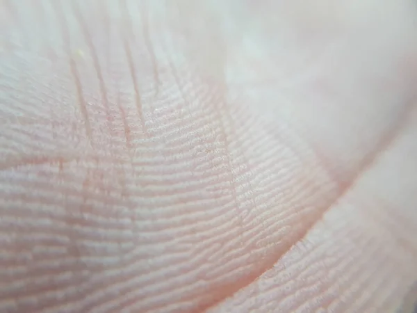 浅色的抽象人类手部皮肤 皮肤科详细概念 — 图库照片