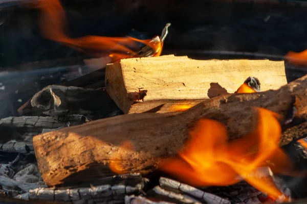 Danger wood and fire flame. Heat temperature. Danger fire.