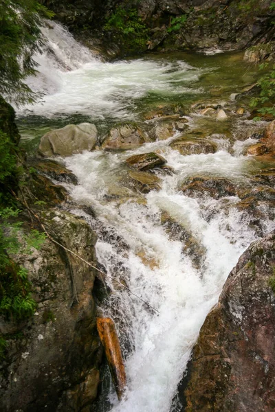 Wodogrzmoty Mickiewicza Waterfall Tatra Mountains Roztoka Stream Poland — Stock Photo, Image