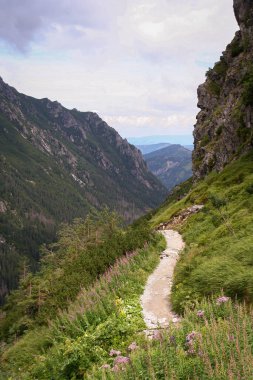 Polonya 'da dağ manzarası. Tatra Dağları manzarası. Polonya 'daki Tatra Dağları Vadisi