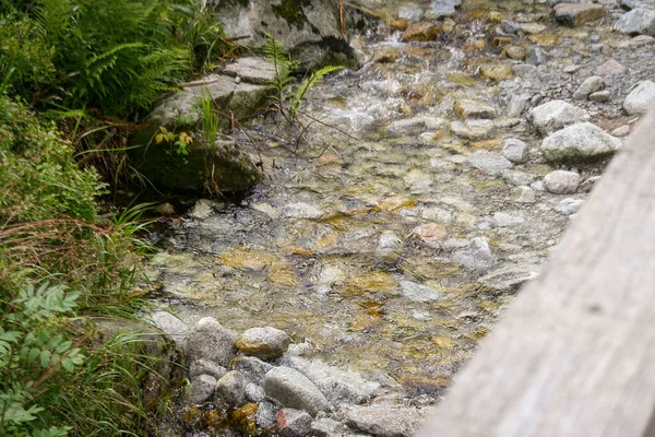 Arroyo Montaña Las Montañas Tatra Paisaje Fluvial Exterior Paisajes Polonia —  Fotos de Stock