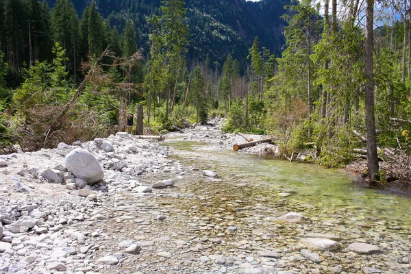 Bergrivierlandschap Vloeiend Water Bergen Tatra Gebergte Uitzicht Natuurpark Bergbeek — Stockfoto