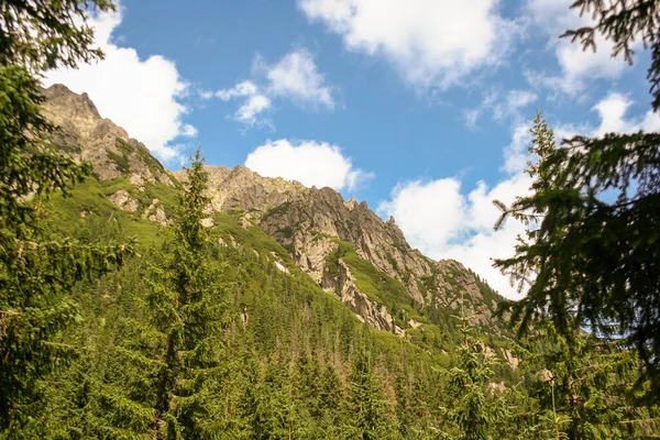 Άποψη Του Ορεινού Τοπίου Εθνικό Πάρκο Tatra Πολωνία Τάτρα — Φωτογραφία Αρχείου