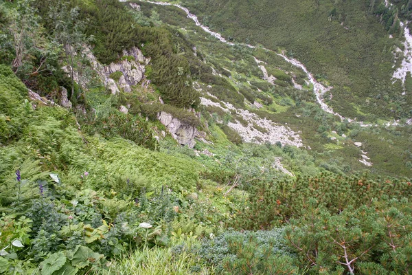 Krajobraz Górski Tatrach Polska Piękne Widoki Zewnątrz Koncepcja Podróży Czas — Zdjęcie stockowe
