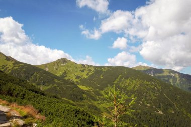 Polonya 'nın Tatra Dağları' ndaki dağ manzarası. Avrupa görüşü