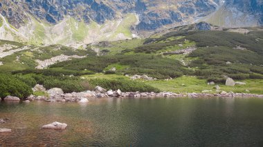 Güneşli bir günde Tatra Dağı 'nda bir sürü yeşillik ve ayna göleti olan bir manzara. Polonya 'da Beş Gölet Vadisi.