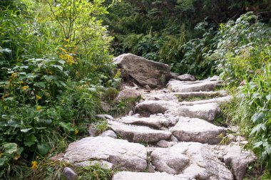 Dağlardaki doğal merdivenler. Tatra Dağları 'ndaki açık hava yolu. Taştan yapılmış merdivenler. Dağlar vadisi.