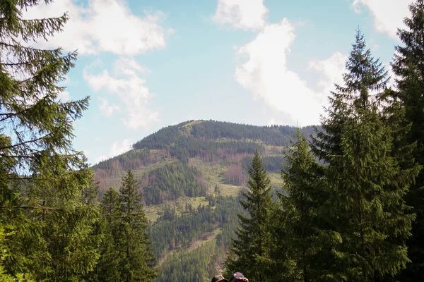 Letnia Tatra Polska Górski Krajobraz Widok Zewnętrzny — Zdjęcie stockowe