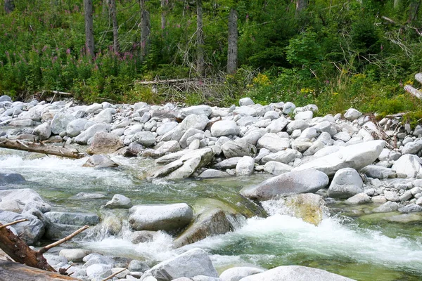 Fluxo Montanha Nas Montanhas Tatra Pedra Cascalho Rio Cenário Água — Fotografia de Stock