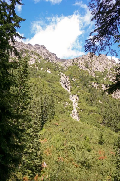 Tatra Dağları Nda Dwoista Siklawa Şelalesi Avrupa Polonya Dağ Manzarası — Stok fotoğraf