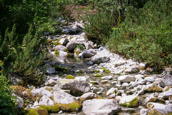 Ορεινή Ροή Στα Βουνά Τάτρα Πέτρες Και Χαλίκια Στο Ποτάμι — Φωτογραφία Αρχείου