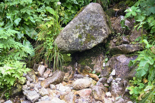 Ορεινή Ροή Στα Βουνά Τάτρα Πέτρες Και Χαλίκια Στο Ποτάμι — Φωτογραφία Αρχείου