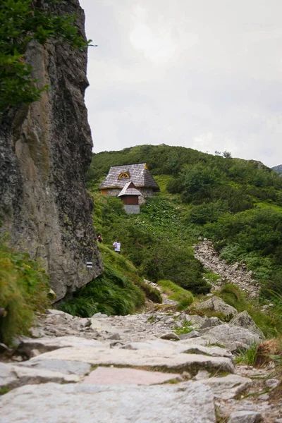 波兰塔特拉山的山地景观 美丽的户外风景 旅行概念背景 夏季时间 — 图库照片