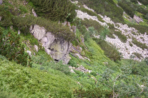 Berglandschap Tatra Gebergte Polen Prachtig Buitenlandschap Reisconcept Achtergrond Zomertijd — Stockfoto