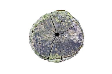 Beyaz arka planda izole edilmiş eski tahta kütük..