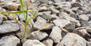 Granit çakıl yol dokusu. Doğal ezilmiş taş arka plan. Granit, çakıl ya da kaya desenli gri kopya uzay yüzeyi.