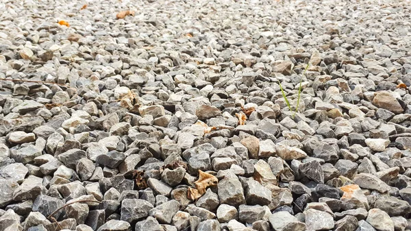 Granit Çakıl Yol Dokusu Doğal Ezilmiş Taş Arka Plan Granit — Stok fotoğraf