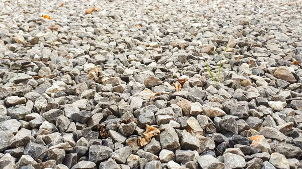 Granit Grusväg Struktur Naturlig Krossad Sten Bakgrund Grå Kopia Utrymme — Stockfoto