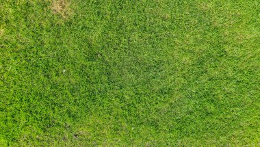 Çimlerin dokusunu ve canlı rengini gösteren yemyeşil çimlerin detaylı hava görüntüsü. Doğa temalı projeler veya peyzaj tartışmaları için ideal.