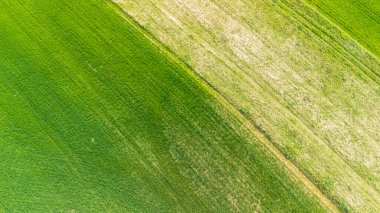 Yeşil tarım alanlarının havadan görünüşü yeşilin ve kahverenginin çeşitli tonlarını gösteriyor. Çiftçilik faaliyetlerinin yarattığı dokuyu ve desenleri vurgular.